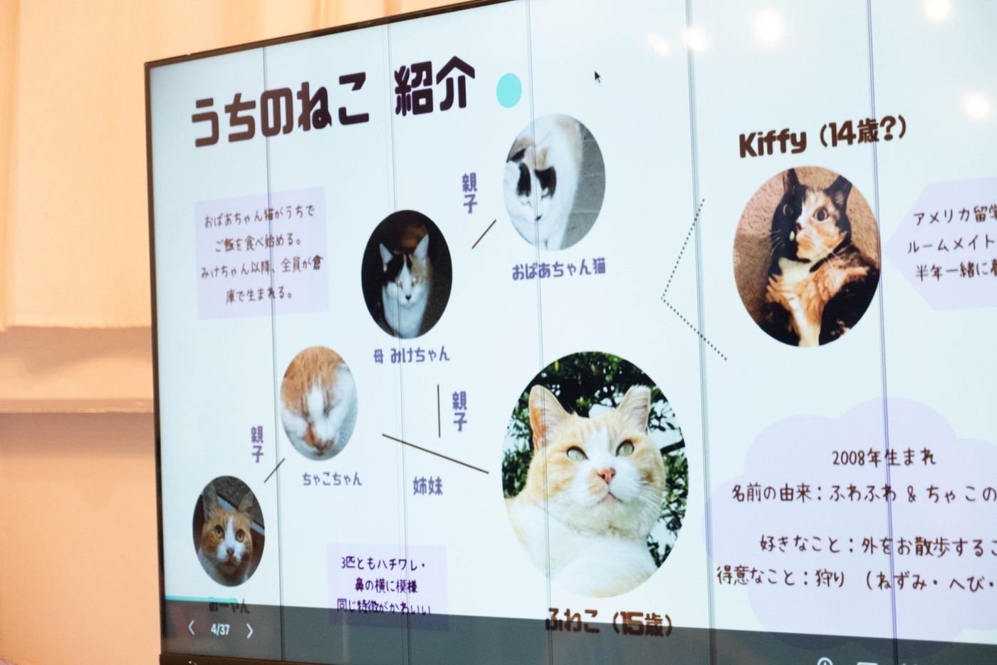 発表テーマ：ねこ偏愛歴をふりかえる